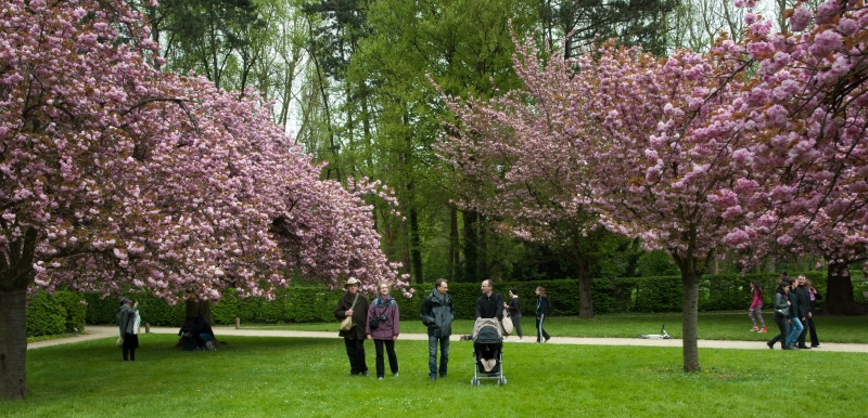 20130427_155700__DSC0045