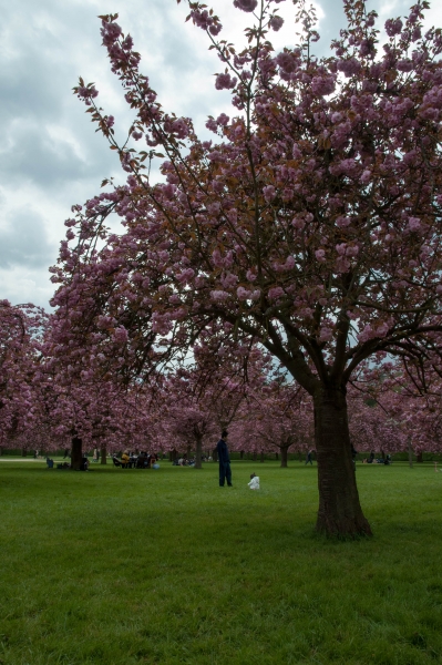 20130427_155744__DSC0048
