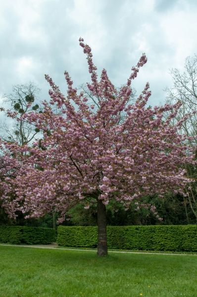 20130427_160010__DSC0050