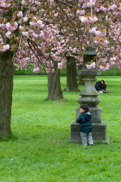 20130427_160106__DSC0051