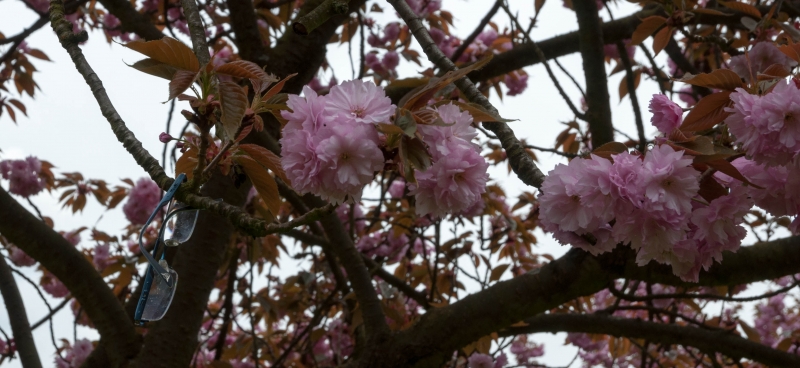 20130427_160144__DSC0052