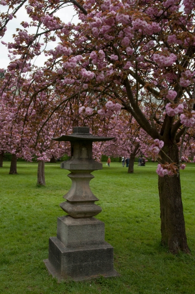 20130427_160314__DSC0055