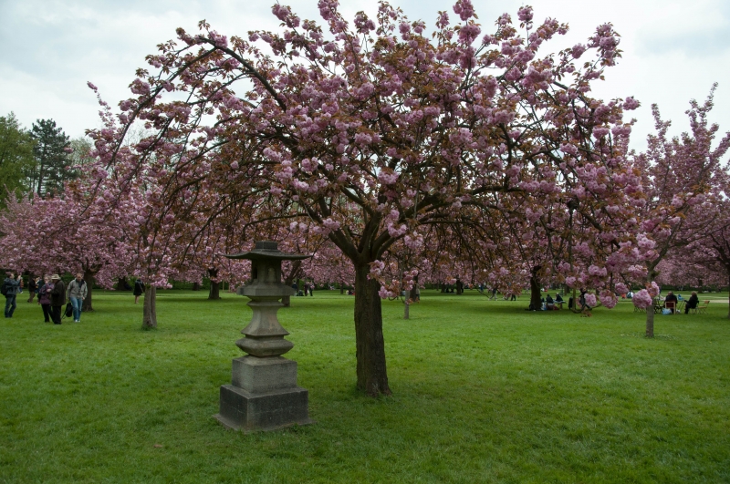 20130427_160402__DSC0058