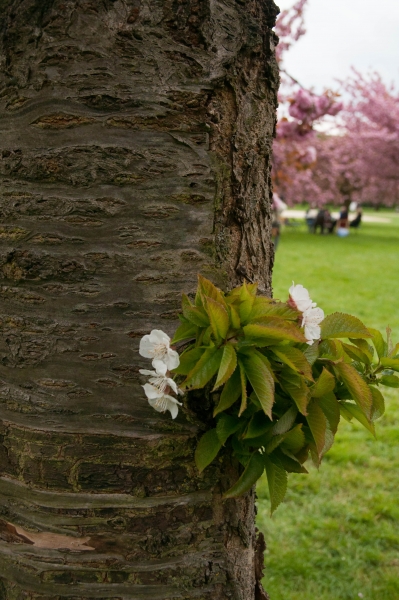 20130427_163432__DSC0066
