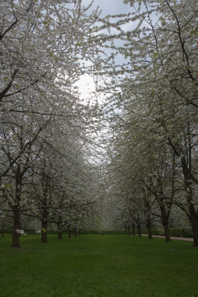 20130427_172402__DSC0087