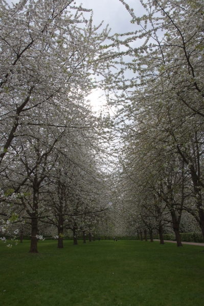 20130427_172412__DSC0088