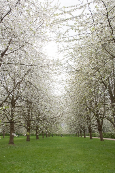 20130427_172420__DSC0089