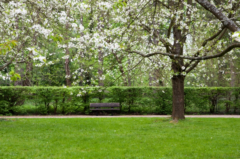 20130427_172650__DSC0093
