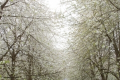 20130427_172420__DSC0089