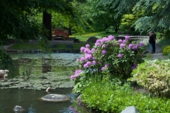 20130525_151836__DSC0353