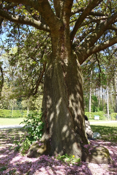 DSC03346