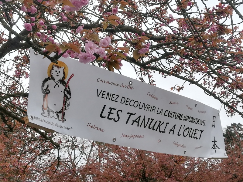 Ohanami 2018