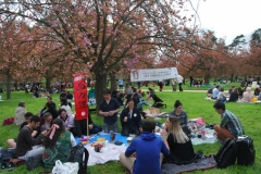 Ohanami 2018