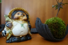 La mascotte a son kokedama !